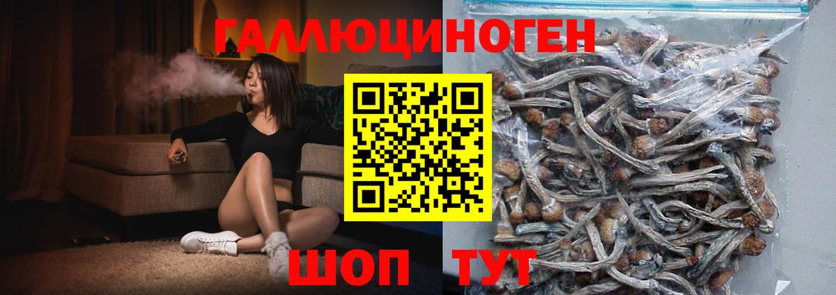 Псилоцибиновые грибы прущие грибы Каменск-Уральский
